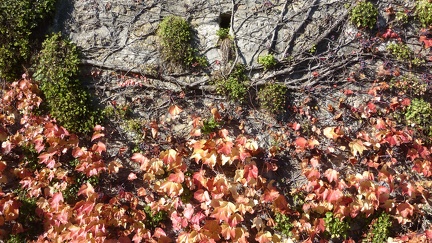 2016 10 30 1231 50 Peseux