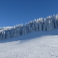 2020 12 10 1533 05 Ski Neigeux