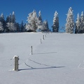 2020 12 10 1551 36 Ski Neigeux